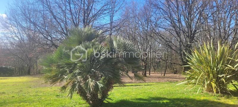 Maison - 246 m² - 7 pièces