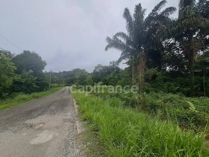 Terrain constructible - 3 444 m²