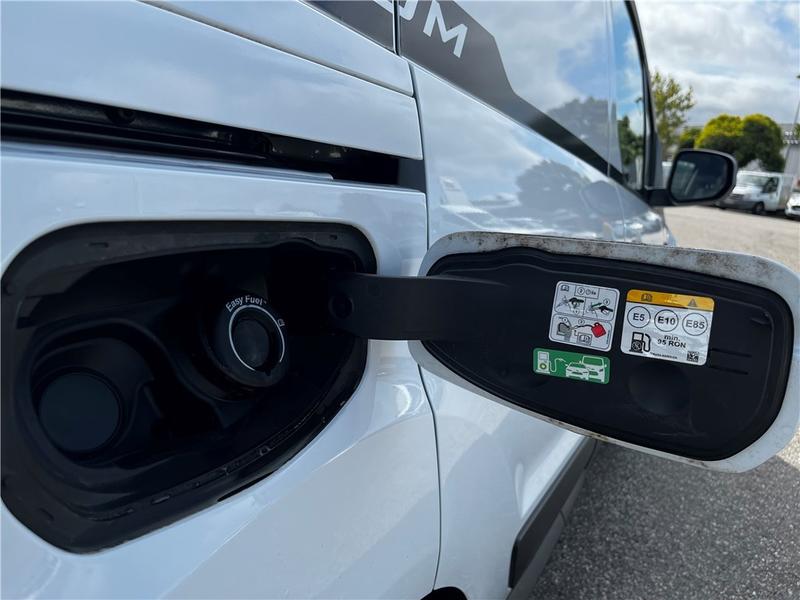 Ford Transit Connect II Fgn L1 1.0e100 E85 s&amp;S Trend Business Nav