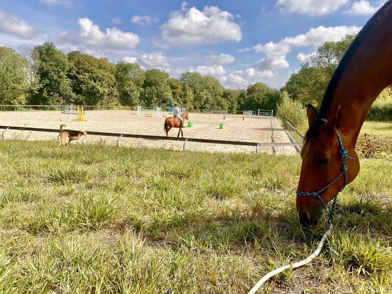 Maison - 395 m² - 14 pièces