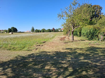 Terrain - 3 140 m²