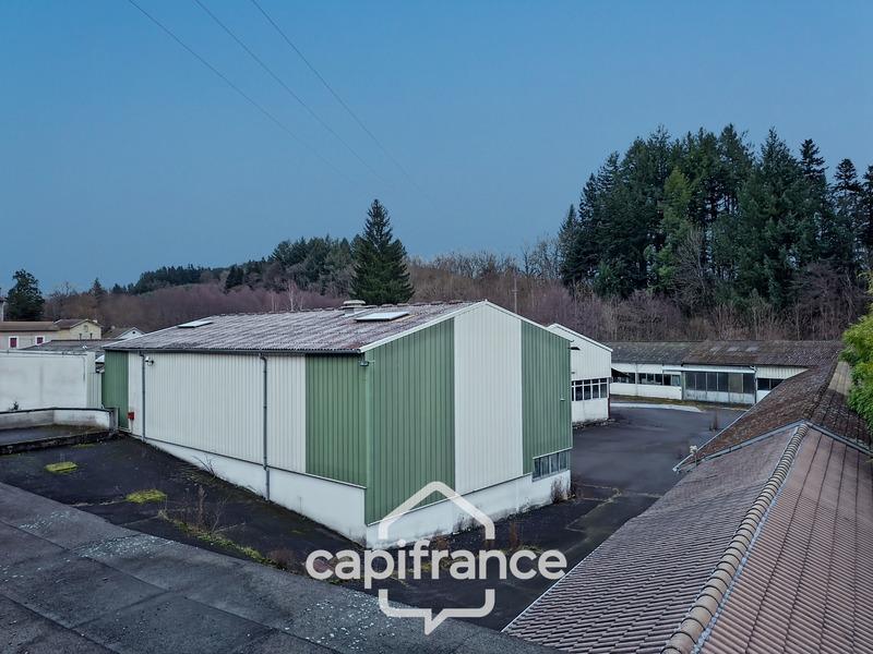 Bureau - 3 800 m² - 6 pièces