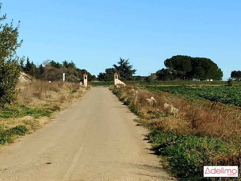 Mas - 1 582 m² - 15 pièces