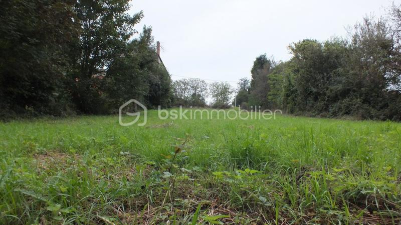 Terrain constructible - 1 234 m²