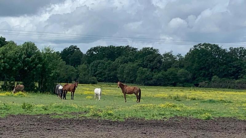 Maison - 185 m² - 8 pièces