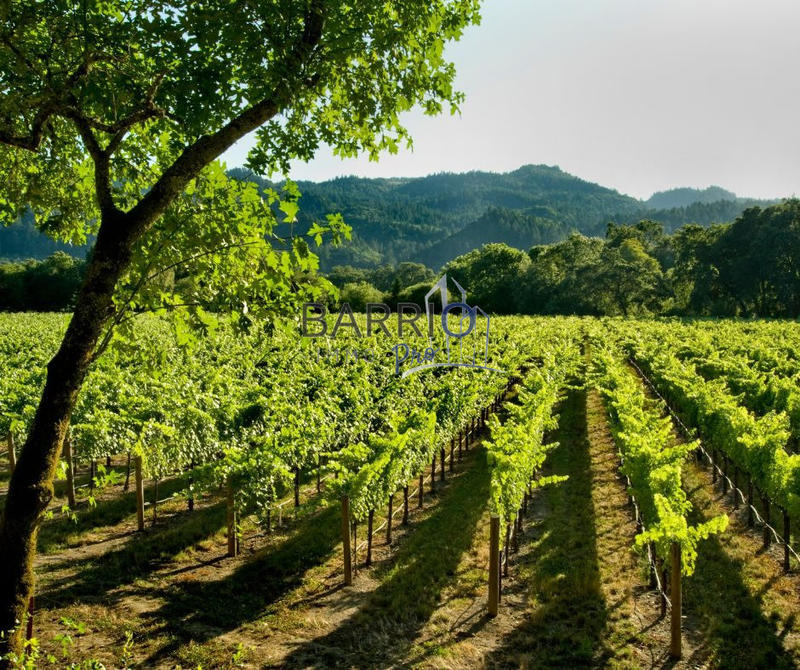 Fonds de commerce - 320 m²