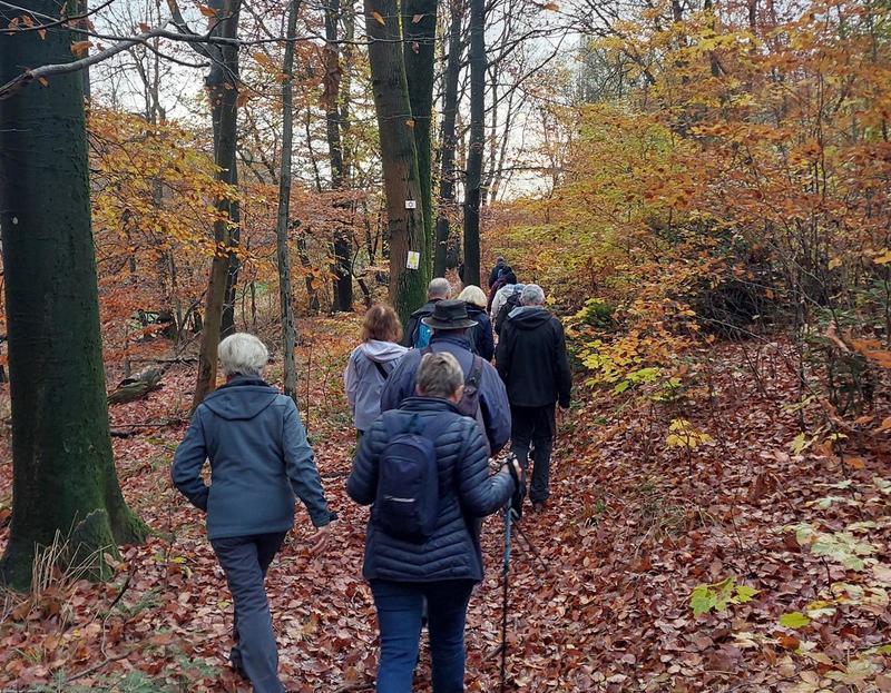 Balade entre Weinbourg et Sparsbach