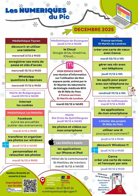 Les Numériques du Pic