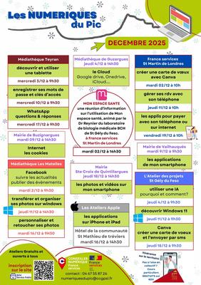 Les Numériques du Pic