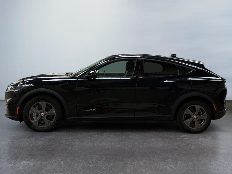 Ford Mustang Mach-E Standard Range 76 kWh 269 ch