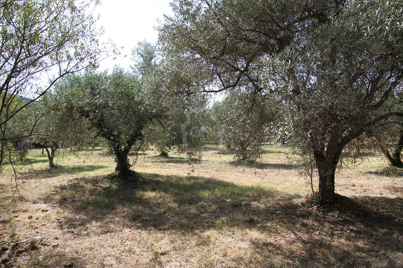 Terrain - 2 038 m²