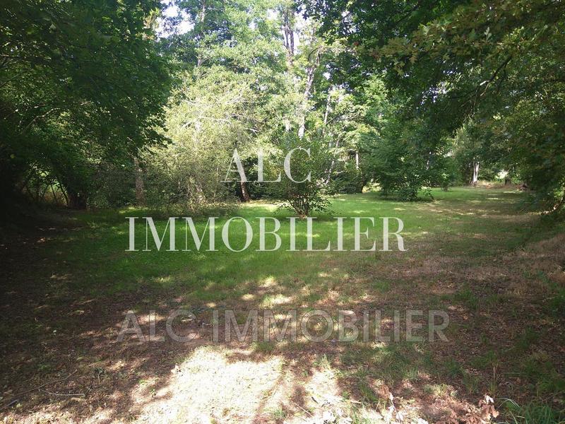 Terrain de loisirs - 1 555 m²