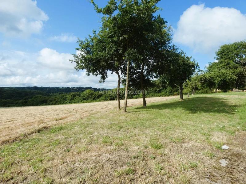 Maison - 300 m² - 2 pièces