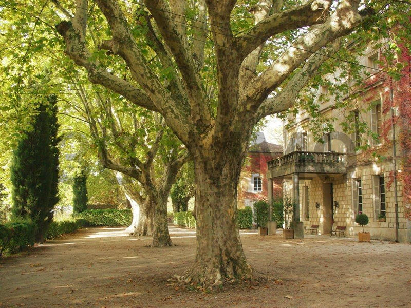 Maison de domaine - 1 200 m² - 30 pièces