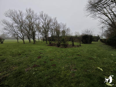 Terrain de loisirs - 13 291 m²