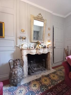 Hôtel particulier - 318 m² - 12 pièces