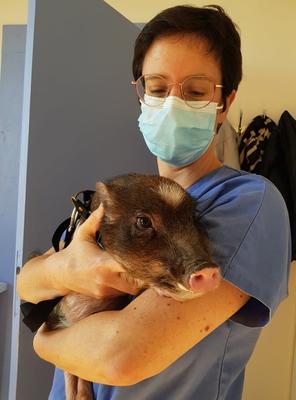 Cabinet Vétérinaire des Sources