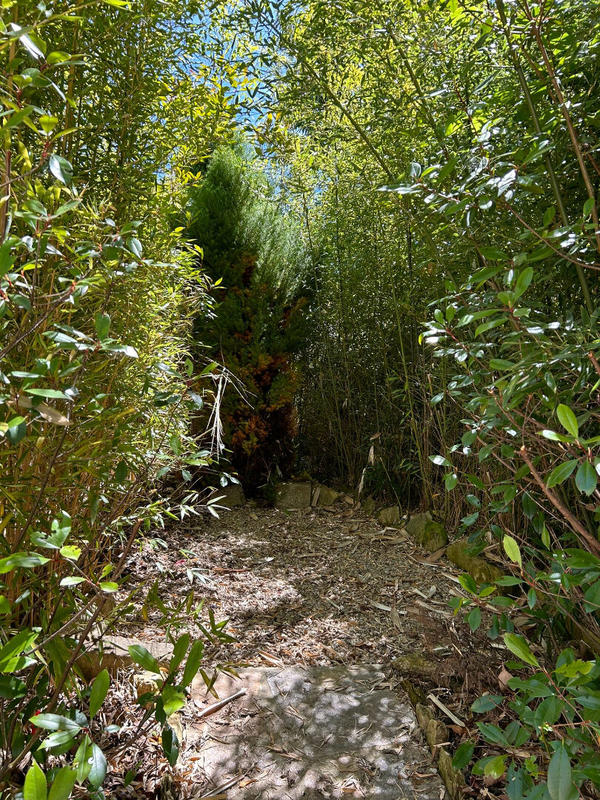 Maison - 142 m² - 4 pièces