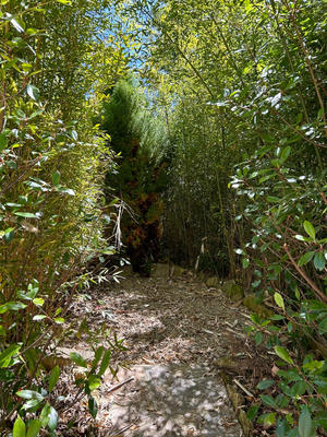 Maison - 142 m² - 4 pièces