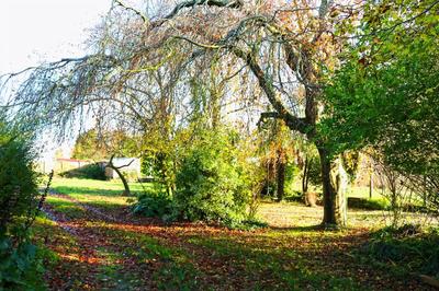 Maison de campagne - 360 m² - 8 pièces