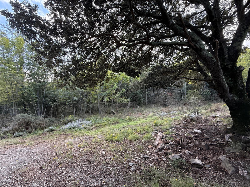 Terrain - 76 380 m²