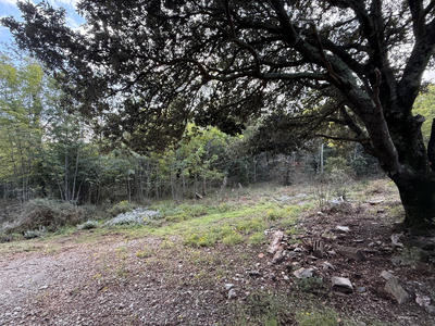 Terrain - 76 380 m²