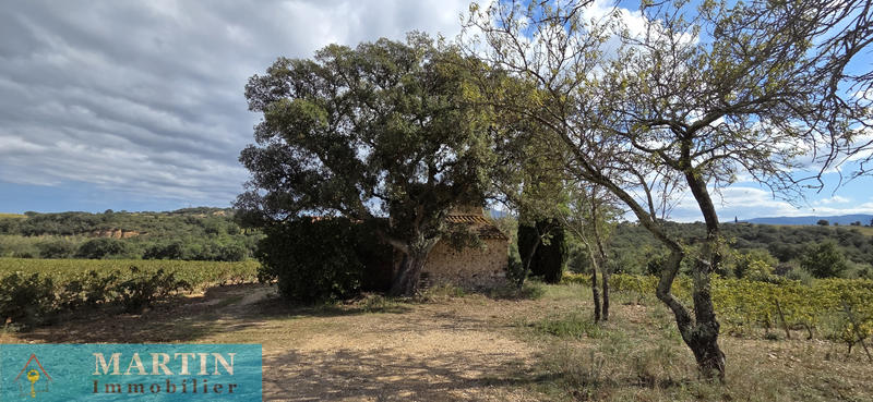 Mas - 58 m² - 3 pièces