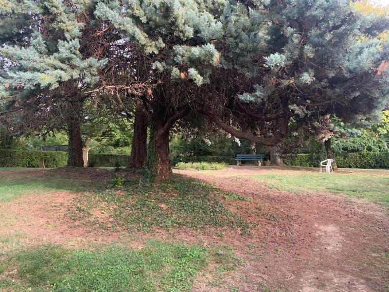 Studio - 25 m² - 1 pièce