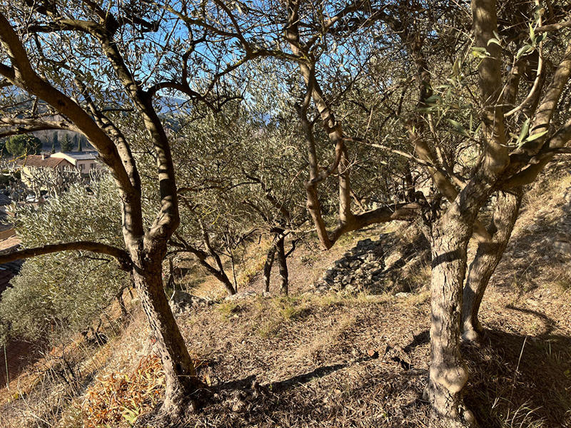 Maison - 141 m² - 6 pièces