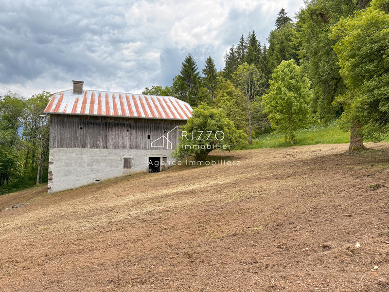 Maison - 400 m² - 4 pièces