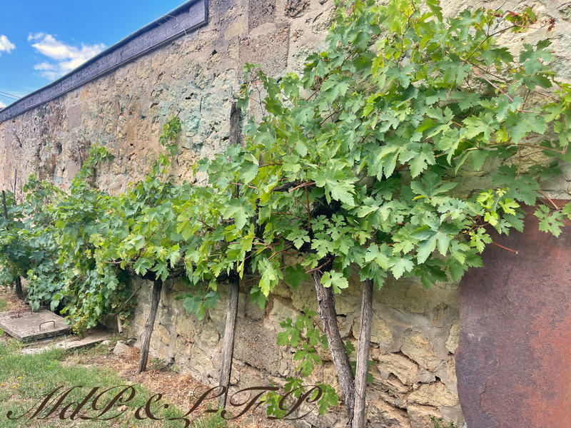 Maison bourgeoise - 356 m² - 10 pièces