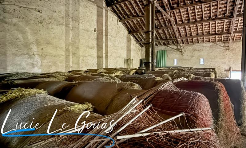 Haras - 239 m² - 9 pièces