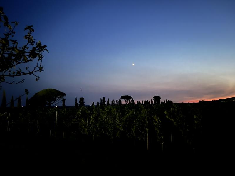 Les Nuits Atypiques au Domaine de Malagar