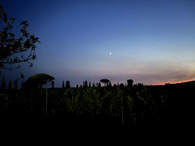 Les Nuits Atypiques au Domaine de Malagar