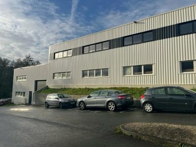 Local d'activité / Entrepôt - 360 m²