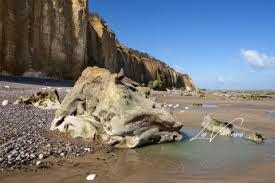 Maison contemporaine - 149 m² - 7 pièces