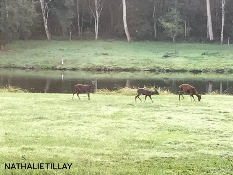 Maison de maîtres - 365 m² - 12 pièces