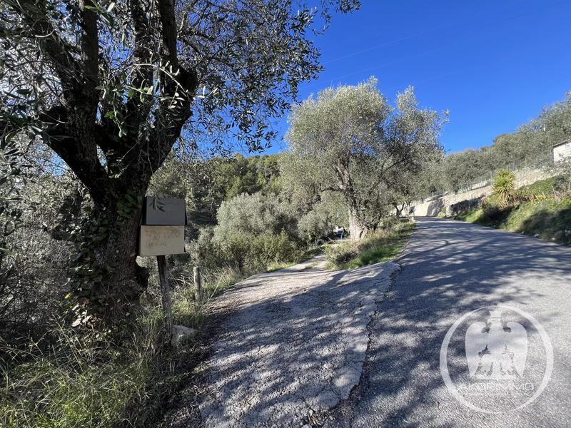 Terrain constructible - 1 518 m²