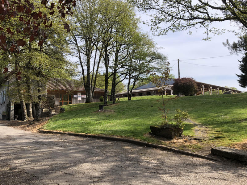 Propriété - 530 m² - 25 pièces