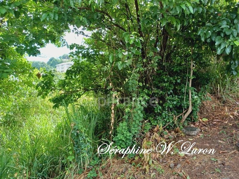 Terrain constructible - 2 247 m²