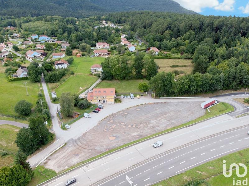 Local commercial - 439 m²