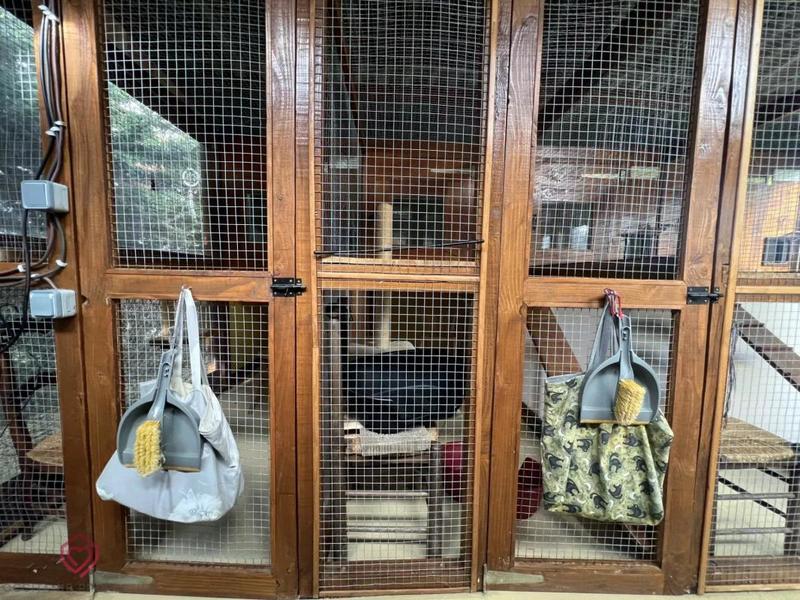 Propriété - 356 m² - 15 pièces