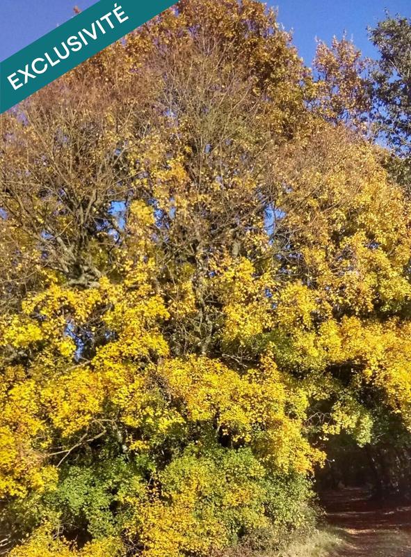 Terrain - 697 767 m²