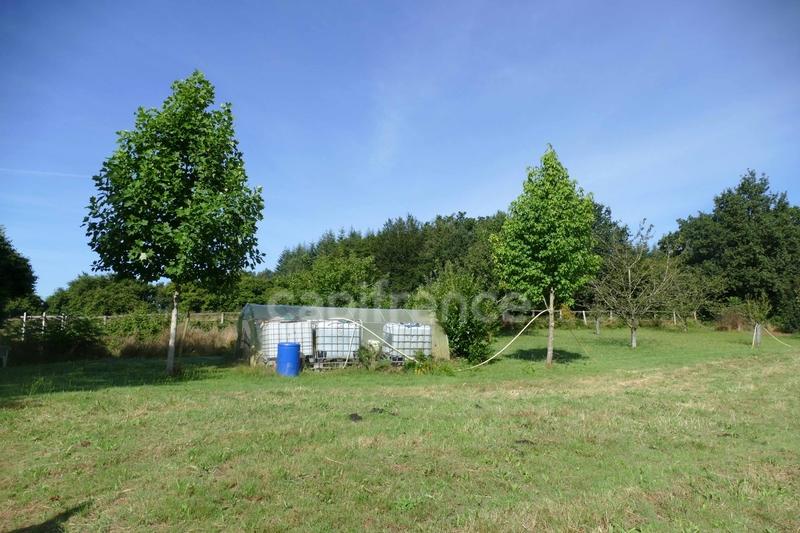 Maison - 30 m² - 2 pièces