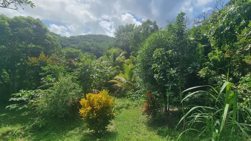 Maison de campagne - 100 m² - 4 pièces