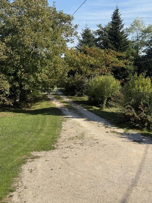 Maison ancienne - 161 m² - 6 pièces