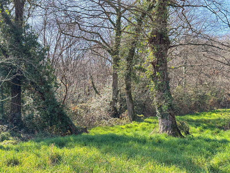 Maison - 138 m² - 5 pièces