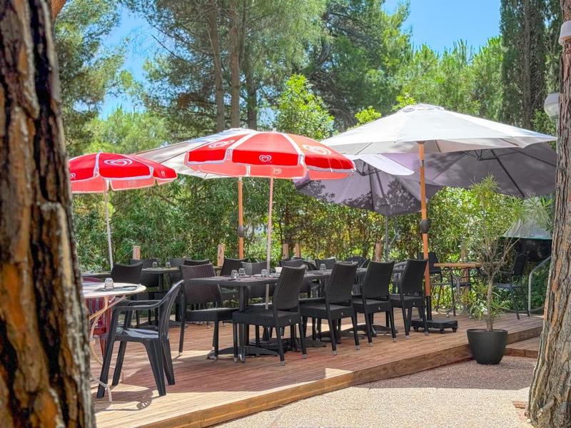 Studio - 31 m² - 1 pièce