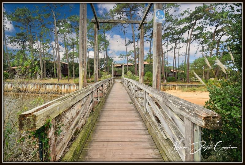 Appartement - 57 m² - 4 pièces