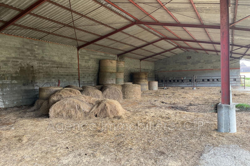 Maison - 350 m² - 1 pièce